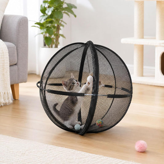 😻 The Outdoor Cat Explorer — A Whole New World for Indoor Cats