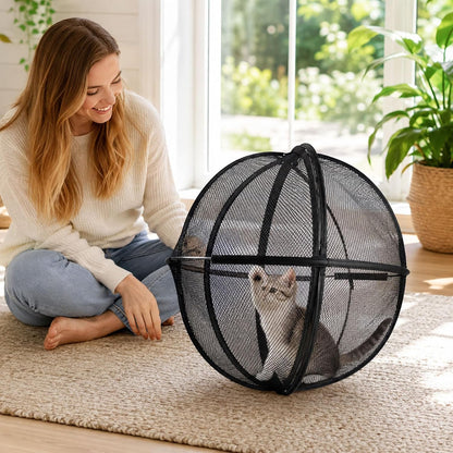 😻 The Outdoor Cat Explorer — A Whole New World for Indoor Cats